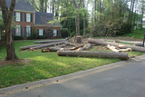 Redfern Tree Service, Roswell