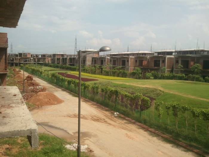  Profile Photos of Paramount Golf Foreste C-130 Sector 2 Noida - Photo 2 of 13