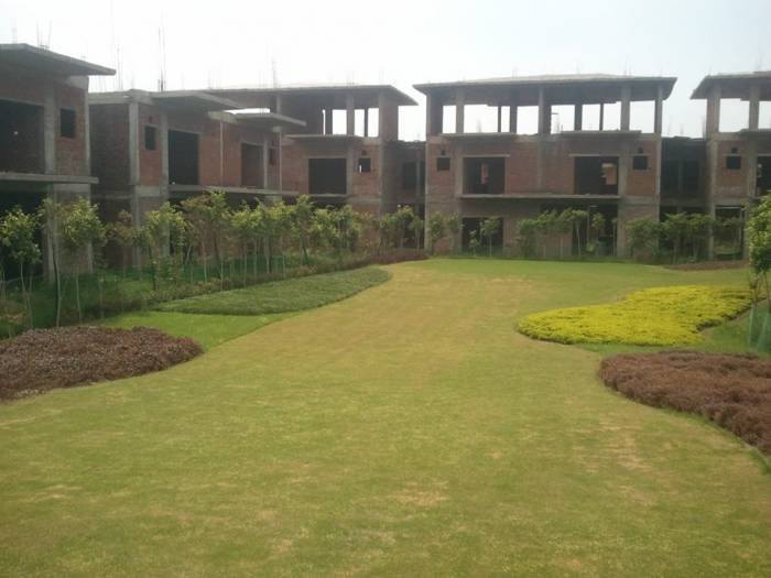  Profile Photos of Paramount Golf Foreste C-130 Sector 2 Noida - Photo 7 of 13