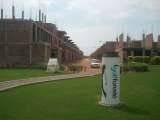  Paramount Golf Foreste C-130 Sector 2 Noida 