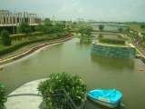  Paramount Golf Foreste C-130 Sector 2 Noida 