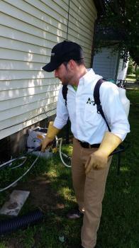 Profile Photos of Advanced Pest Elimination 102 North Indiana Avenue - Photo 2 of 4