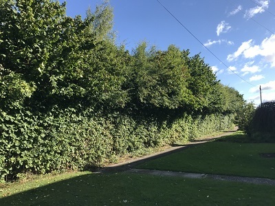 Profile Photos of Treescape 14 St Mary's place, Little Dunmow - Photo 2 of 10