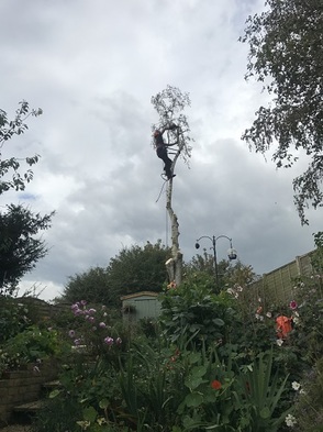  Profile Photos of Treescape 14 St Mary's place, Little Dunmow - Photo 3 of 10