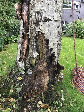  Profile Photos of Treescape 14 St Mary's place, Little Dunmow - Photo 6 of 10