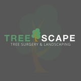  Treescape 14 St Mary's place, Little Dunmow 