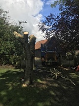  Treescape 14 St Mary's place, Little Dunmow 