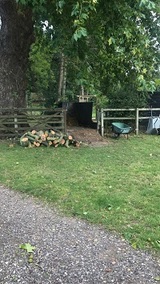 Treescape, Great Dunmow