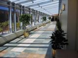 Interior Plants, Trenton