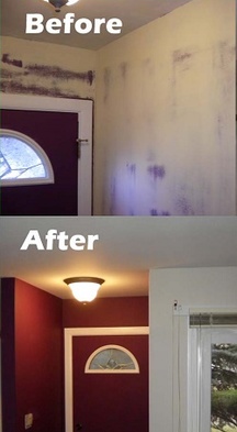  Profile Photos of J&B Paint & Wallpaper 900 Ogden Ave #247 - Photo 2 of 11