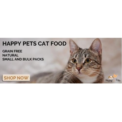  New Album of Happy Pets 94 Queensberry Street - Photo 3 of 3