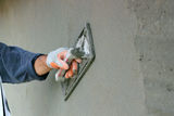  Tom The Plasterer 17 Solomon St 