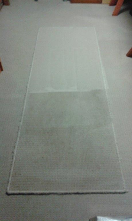  New Album of WhoWho Carpet Cleaning 1/62 Bromley St - Photo 1 of 3