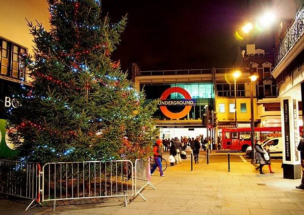  Profile Photos of Deliver me a Christmas tree 88 Queen Street - Photo 1 of 1