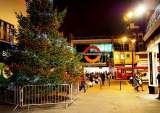 Deliver me a Christmas tree, West Malling