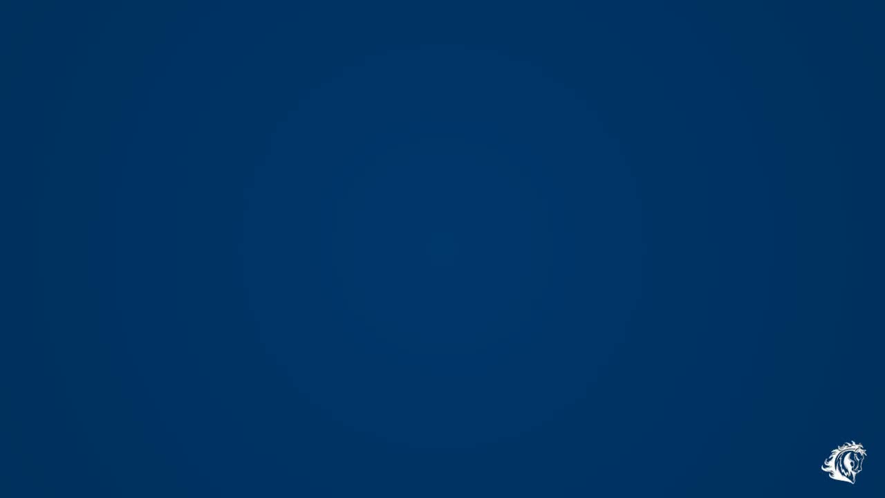 Movers - Denver, Colorado - Moving Company - Stallion Moving.mp4