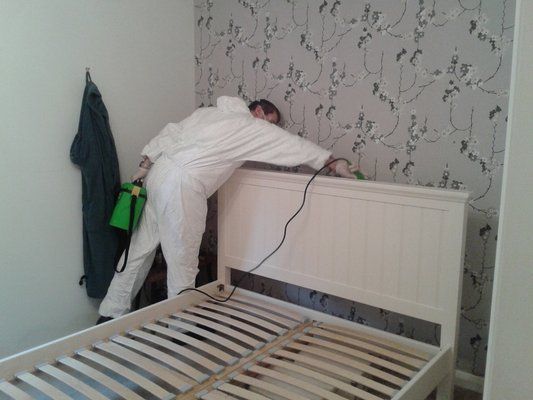  New Album of Panther Pest Control Basildon Rd - Photo 3 of 4
