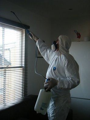  New Album of Panther Pest Control Basildon Rd - Photo 1 of 4