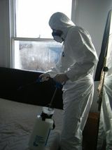 Panther Pest Control, London
