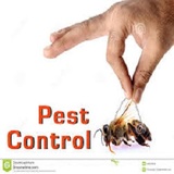 Garroway Pest Control, Apt 6D New York