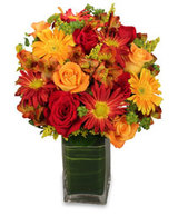  Bobbie's Bokay Florists 229 W Houston St 