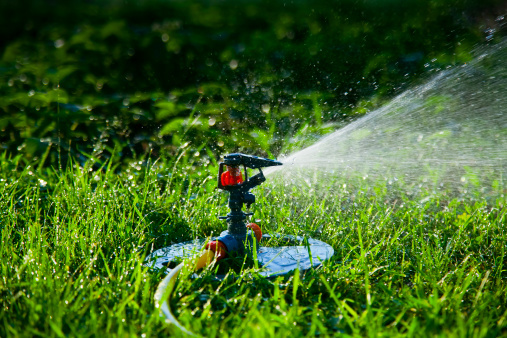  Profile Photos of Antonios Gardening and Tree service Palm Springs - Photo 1 of 1