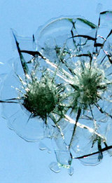  Windscreen Replacement Sydney 21 Rickard St 