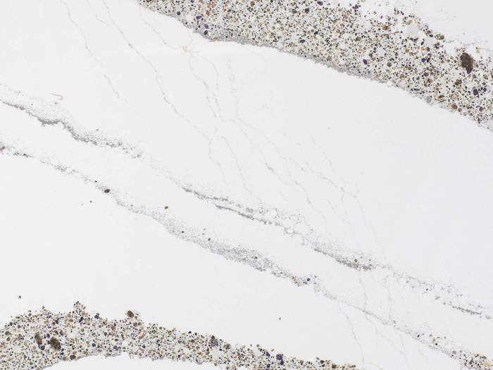  New Album of International Granite and Stone 12165 49th St N - Photo 1 of 8