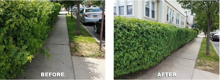  New Album of Tree Service Cutting & Removal 2253 Third St - Photo 1 of 3