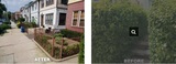 Tree Service Cutting & Removal, New York