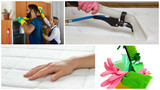 Maid Solution Services Corp, Greenacres