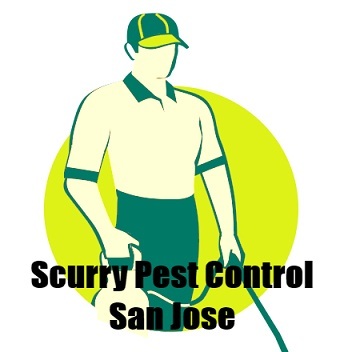  New Album of Scurry Pest Control San Jose 410 E Santa Clara Street Unit #603 - Photo 4 of 4
