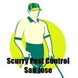 Scurry Pest Control San Jose, San Jose