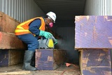 Scurry Pest Control San Jose, San Jose
