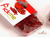  SamAgri Tech Pvt.Ltd 402, Maxx Chambers, Patigadda Lane, Begumpet, Hyderabad 500 003, Telangana, India 