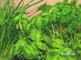 SamAgri Tech Pvt.Ltd, Hyderabad