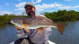  Sea Reaper Fishing Charters 7225 Estero Boulevard, Fish Tail Marina 