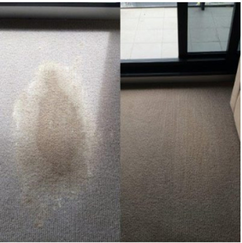  Pricelists of Black Gold Carpet Cleaning 1114 Dandenong Road - Photo 4 of 9