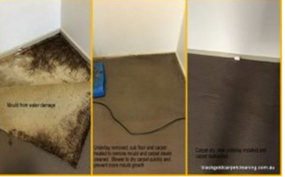  Pricelists of Black Gold Carpet Cleaning 1114 Dandenong Road - Photo 9 of 9