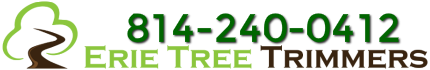  Profile Photos of Erie Tree Trimmers 707 W 38th St Ste 267A - Photo 1 of 1