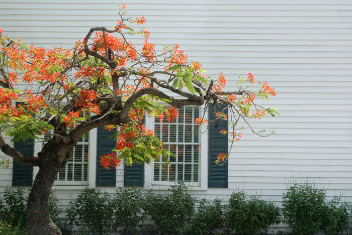  Profile Photos of The Best Siding, LLC Belleville, NJ, 07109 - Photo 1 of 1