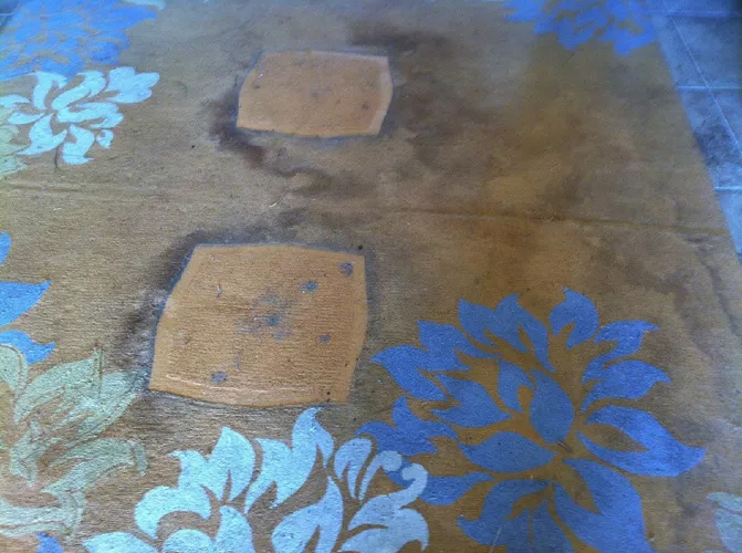 New Album of Bravo Carpet Cleaning ABQ 10510 San Francisco Rd NE - Photo 2 of 10