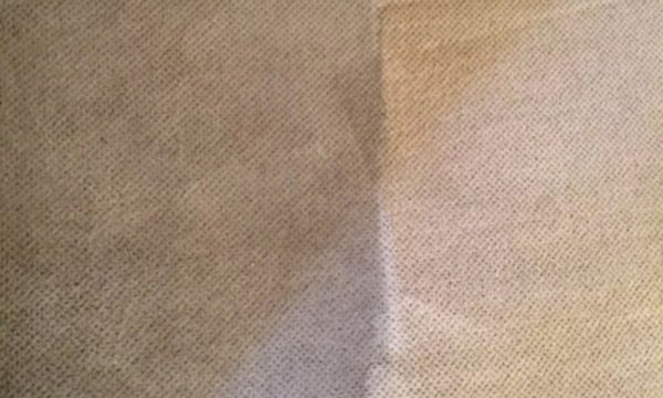  New Album of Bravo Carpet Cleaning ABQ 10510 San Francisco Rd NE - Photo 3 of 10