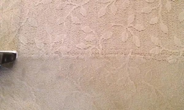  New Album of Bravo Carpet Cleaning ABQ 10510 San Francisco Rd NE - Photo 4 of 10