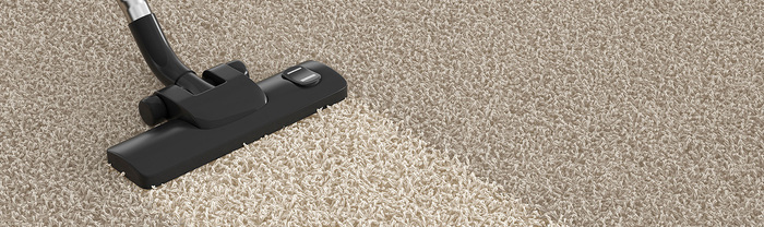  New Album of Bravo Carpet Cleaning ABQ 10510 San Francisco Rd NE - Photo 5 of 10