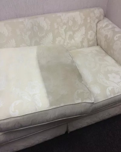  New Album of Bravo Carpet Cleaning ABQ 10510 San Francisco Rd NE - Photo 9 of 10