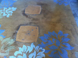  Bravo Carpet Cleaning ABQ 10510 San Francisco Rd NE 