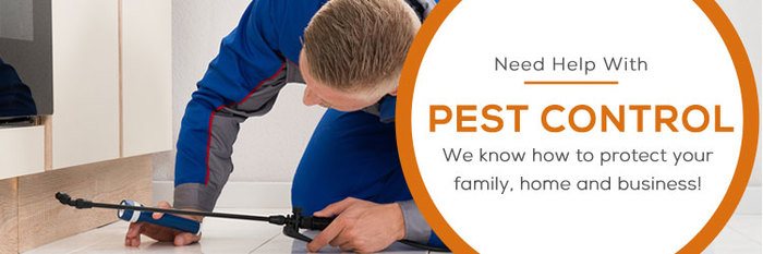  Profile Photos of My Home Pest Control Brisbane City - Photo 2 of 8