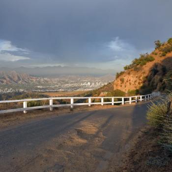  Profile Photos of Midway Car Rental | Burbank Airport 2503 N Hollywood Way, Suite 2213 - Photo 2 of 2