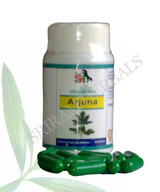 SBV Exports Limited, Bangalore